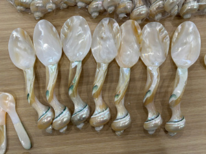 Cuillère en coquillage fabriquée à partir de coquillages naturels pour une utilisation décorative, présentation en magasin et exportation en gros - Product Image 6