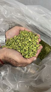 Cardamome Verte Indienne Premium 7mm Fraîche Brute à Arôme Intense, Exportateur en Gros du Kerala pour l'Assaisonnement Culinaire, le Thé et les Mélanges d'Épices - Product Image 6