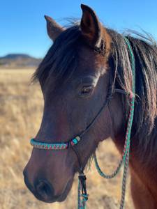 Cabestro de cuerda para caballo con logotipo personalizado, trenzado de 2 nudos, para exteriores, venta al por mayor - Product Image 3