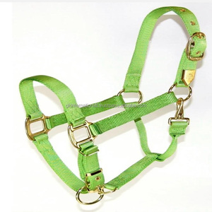 Cabestro de nailon de lujo con barbilla ajustable y herrajes chapados en latón a presión Halter de Carreras de Caballos de nailon de varios colores - Product Image 4