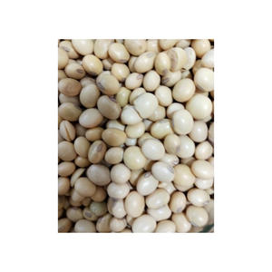 Soja jaune torréfié 100% naturel, graines de soja/soja/soja séché avec emballage en vrac - Product Image 4