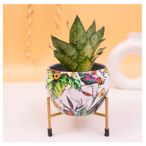 Venta Directa de Fábrica, Macetas Altas para Plantas de Interior/Exterior, Macetas Grandes de Hierro Reforzado, Resistentes a la Intemperie - Product Image 1