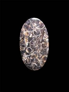 Jaspe TURTELLA 100% Natural de Alta Calidad, Cabujón de Piedra Preciosa Suelta para Sanación, Jaspe al por Mayor para Joyería - Product Image 4