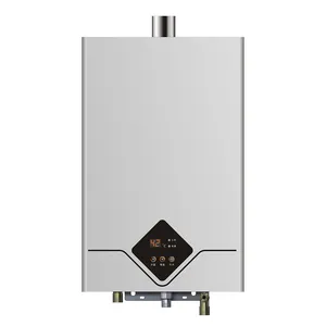 Thermostaat Gebalanceerde Type Gas Boiler Voor Thuis Baden Warm Water Boiler 10l 11l 12l 13l 16l Lpg Ng