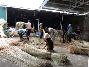 Fabricante Vietnamita de Fibra Natural de Pasto Marino Crudo para la Producción de Cestas Decorativas y Artesanías - Product Image 3