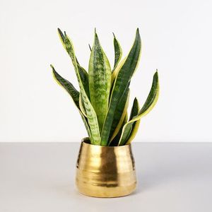 Vase décoratif moderne en aluminium transparent pour l'affichage de fleurs avec une finition artisanale haut de gamme - Product Image 5