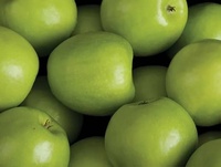 Pommes rouges Fuji 100% naturelles, biologiques, de qualité alimentaire, fraîches, exportées en vrac