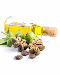 Huile de Sacha Inchi de qualité alimentaire, export en vrac depuis le Vietnam - Product Image 6