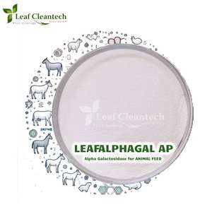 Enzyme alpha galactosidase pour l'alimentation animale-Santé digestive et efficacité alimentaire d'Inde | Enzymes d'alimentation | - Product Image 1