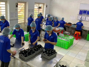 Baguettes en plastique à forte demande et plateau à épices Service OEM/ODM directement du Vietnam Fabricant en vrac de marque privée Logo personnalisé - Product Image 5