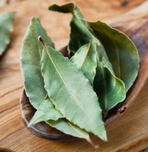 Hojas de Laurel Secas de Estilo Orgánico, Hoja de Laurel Entera a Granel para Mayoristas de Especias, Condimento Natural para Alimentos, Ingrediente Culinario Aromático - Product Image 4
