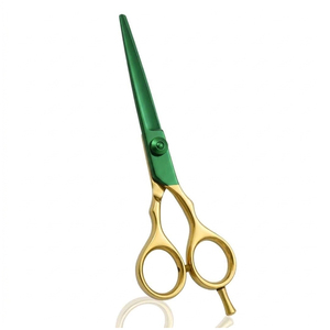 Ciseaux de coupe de cheveux professionnels de 5.5 pouces, en acier inoxydable, poignée ergonomique, outils de coiffure réutilisables pour salon - Product Image 2