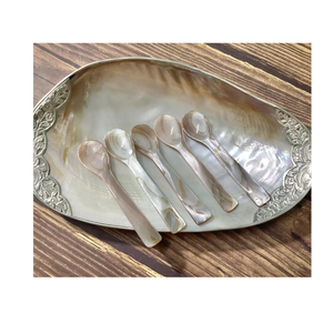 High End Mother of Pearl Caviar Spoon with Logo Engraving for Restaurants and Gourmet Stores - Product Image 1