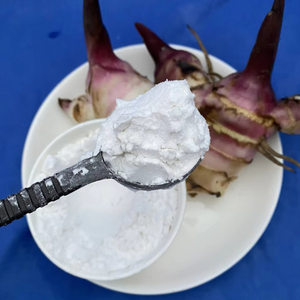 Meilleure Vente Amidon de Racine d'Arrowroot Biologique de Qualité Supérieure Goût Naturel pour Aliments et Ingrédients Conditionné en Sac Origine Vietnam - Product Image 1
