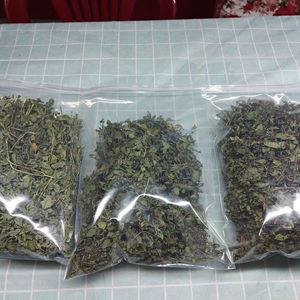 ใบแคทนิปแห้งแบบหยาบ 100% จากธรรมชาติ ขายส่งจำนวนมาก บรรจุในถุงสำหรับของเล่นสัตว์เลี้ยง จากเวียดนาม - Product Image 1