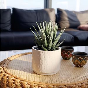 Vaso in Ceramica da 6,7 Pollici ad Alto Potenziale Decorativo per Casa, Ufficio, Scrivania, Bagno, Scaffale Boho - Pianta Artificiale di Aloe Succulenta - Product Image 4