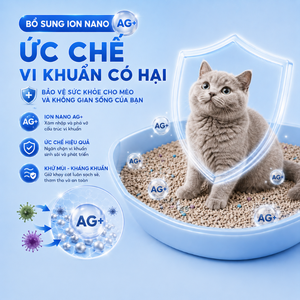ทรายแมวเบนโทไนต์ Ecopaws ซุปเปอร์ดูดซับ จับตัวเป็นก้อนเร็ว ฝุ่นน้อย  รับผลิตแบบ OEM ODM สำหรับสัตว์เลี้ยง - Product Image 5