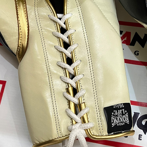 Gants de boxe No Boxing No Life, best-seller, qualité supérieure, à doigts entiers, fermeture à lacets réglable, pour l'entraînement. - Product Image 2