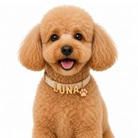Breloques personnalisées pour collier d'animal de compagnie, alphabet A-Z, accessoires personnalisés avec lettres pour chiens et chats, breloque pour collier