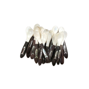 Cuchara Premium de Nácar Vietnamita Hecha de Concha Natural para Accesorios de Comedor y Empaque de Regalo - Product Image 1