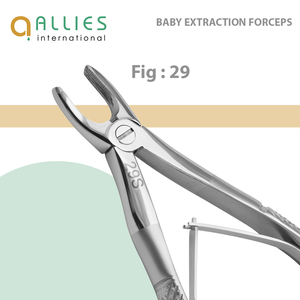 Forceps d'extraction dentaire en acier inoxydable, résistants à la rouille, durables, OEM ODM - Product Image 4
