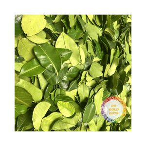 <b>DRIED</b> <b>LIME</b> LEAF MOST IMPORTANT INGREDIENT FOR THAI DISH KARIFF GREEN LEMON LEAF WHOLESALE FACTORY DIRECT BULK PRICE SINGLE HERB - Product Image 1