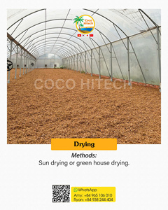 Copeaux de coco naturels de haute qualité à prix de gros pour le jardinage et la plantation par COCO HITECH - Product Image 5
