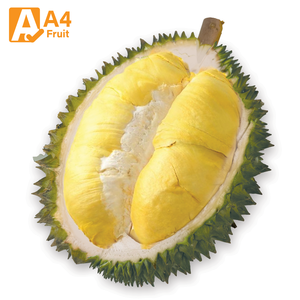 Durian Monthong Tailandés Fresco, 100% Natural, Sabor Dulce, Paquete Premium de 500g, 14 Días de Vida Útil, Almacenamiento Refrigerado, A4 FRUIT - Product Image 1
