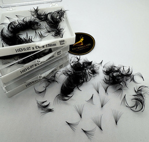 Wholesale 10D 0.07 13mm Premade <b>Volume</b> Fans Eyelash Extensions 500 Fans Korean PBT Cashmere Matte Black C CC D Curl Easy Fan - Product Image 6