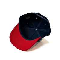 Gorras de Béisbol Retro de Alta Calidad, Bicolor, Bordadas con Diseño Invertido, para Hombre y Mujer, Personalizables, de 5 Paneles, Estilo Dad Hat, OEM