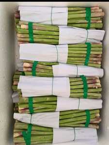 หน่อไม้ฝรั่งสีเขียวสดของเวียดนามหอกที่เก็บเกี่ยวทุกวันมีสุขภาพดีส่งตรงจากฟาร์ม - Product Image 3