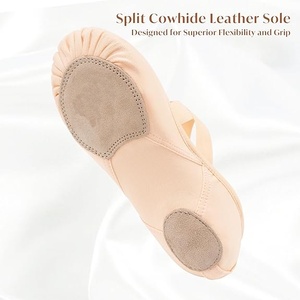 Baifa Ent Women's Ballet Shoes Highly Stretch Canvas Dance Slipper Mesh Flats Genuine Leather Lining - Product Image 1