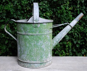 Arrosoir en métal idéal pour le jardinage quotidien, intérieur/extérieur, matériau résistant à la rouille, bec long pour une arrosage précis. - Product Image 6