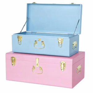 Baúl de almacenamiento metálico de nuevo diseño, elegante baúl de almacenamiento metálico - Product Image 1