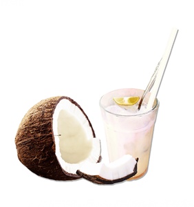 2025 Leche de Coco cultivada salvaje de alta calidad en polvo y extracto de fruta gran oferta Extracto de planta en botella lata embalaje de tambor - Product Image 1