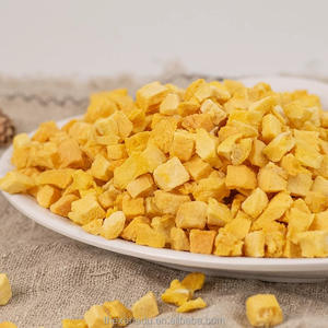 Cubes de mangue 5*5mm 0 <span class=keywords><strong>sucre</strong></span> <span class=keywords><strong>ajouté</strong></span> mangues fruits en dés pour ingrédient/boulangerie/collations/thé au <span class=keywords><strong>lait</strong></span>/boulangerie paquet de gros personnalisé accepter - Product Image 4
