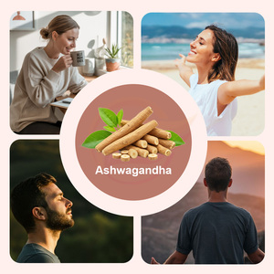 Cápsulas de Ashwagandha KSM-66 de Marca Privada, 600 mg, con Bálsamo de Limón y Pimienta Negra para Adultos - Suplemento Herbal OEM para el Alivio del Estrés y la Energía - Product Image 5