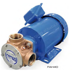 Pompe centrifuge marine auto-amorçante en bronze Nikkiso Eiko EIKOFLEX FAH40 FAH50 pour la gestion de l'eau de mer et le lavage de ponts de navires, triphasée - Product Image 1