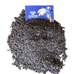 [Keith Vilaconic] Arroz negro glutinoso superior | Superalimento de alta calidad para exportación desde Vietnam - Product Image 1
