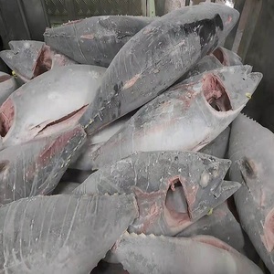 Thon jaune entier congelé à prix avantageux pour les commerçants en produits de la mer, les restaurants, les marchés de poissons et les fournisseurs professionnels de produits alimentaires - Product Image 2