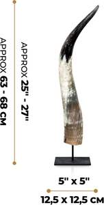 Pièce décorative authentique en corne naturelle pour temple domestique et usage décoratif, à prix économique et respectueuse de l'environnement - Product Image 5