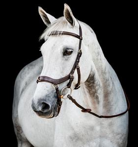 Micklem Bride en cuir pur durable pour les courses de chevaux Rein équestre de bonne qualité pour l'équitation - Product Image 2