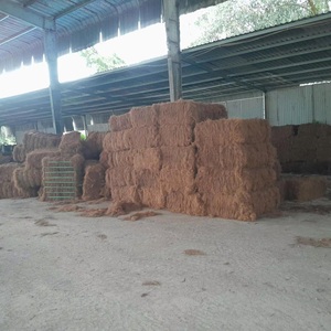 เส้นใยมะพร้าวเวียดนาม เป็นมิตรกับสิ่งแวดล้อม เส้นใยมะพร้าวดิบธรรมชาติ ขายส่งสำหรับงานหุ้มเบาะ บรรจุภัณฑ์แบบม้วนตามสั่ง - Product Image 5