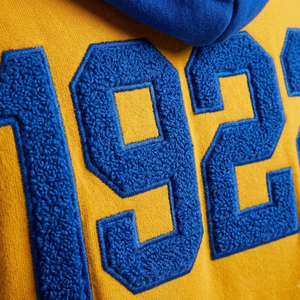 เสื้อฮู้ดดีไซน์ใหม่ ตัวอักษรเชนิลล์ Sigma Gamma Rho สำหรับชมรมนักศึกษา และแพทช์ปี 1922 แขนเสื้อแบบแร็กแลน กระเป๋าแบบเย็บติด ชายเสื้อแบบมีแถบ - Product Image 3