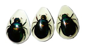 Cabochon en plastique en forme de poire, spécimen réel de scarabée coloré, taille 33x22 mm, fond plat, pour artisanat et fabrication de bijoux - Product Image 3