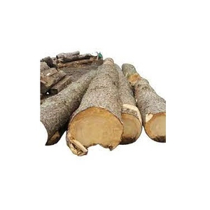 Mejor Precio para Madera de Haya, Abeto y Pino de Alta Calidad en Venta - Product Image 4