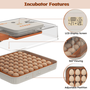 Incubatrice Automatica per 56 Uova con Controllo Digitale dell'Umidità, per Uova di Pollo, Anatra e Oca, Struttura in PC per Maggiore Durata - Product Image 3