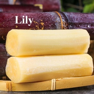 แท่งอ้อยสดแช่แข็ง-เหมาะสำหรับการคั้นน้ำและอาหารว่าง/ดอกลิลลี่ - Product Image 4