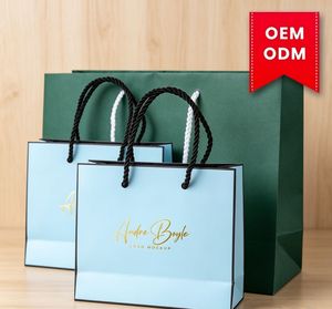 Luxury Custom Printed Jewelry Shopping Bag with Gold Foil Stamping and OEM ODM Service - Product Image 1