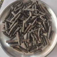 Fabrikant Van Peper Lange Poeder